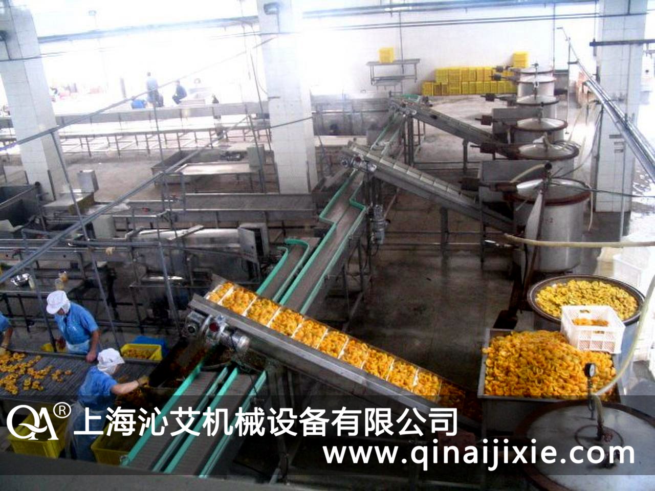 塑鋼鏈板輸送機在黃桃罐頭食品企業(yè)得到客戶的認可 塑鋼鏈板輸送機在黃桃罐頭食品企業(yè)得到客戶的認可